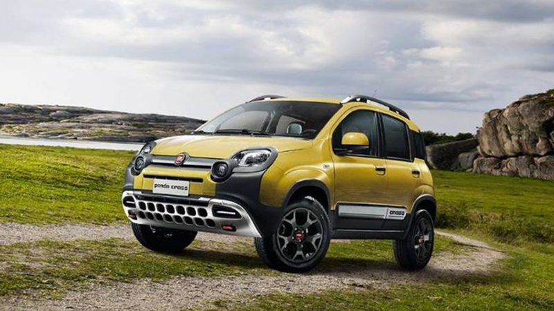 FIAT PANDA 4X4 cross - Tomaso